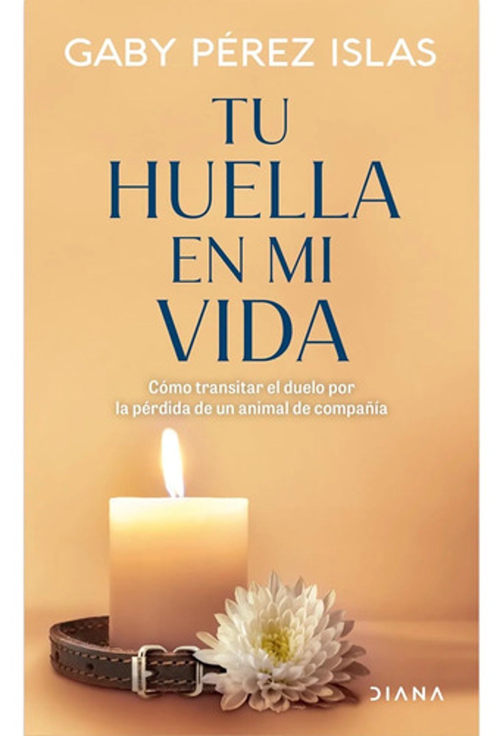 Tu Huella En Mi Vida Duelo Por Mascotas Pérez Islas