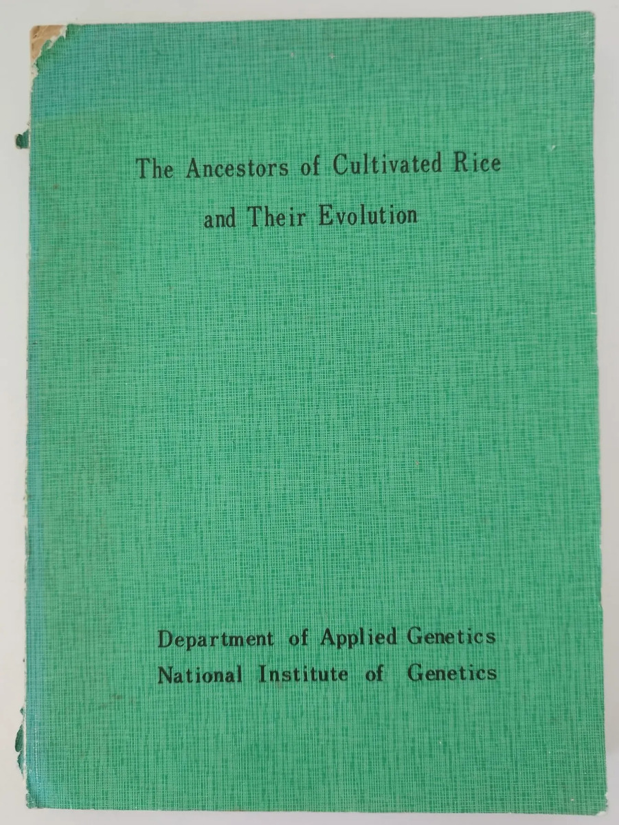 Ancestors Cultivated Rice - H I Oka Genetics 1980