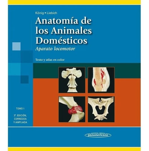 Anatomía De Los Animales Domésticos Tomo 1. Aparato Locomoto