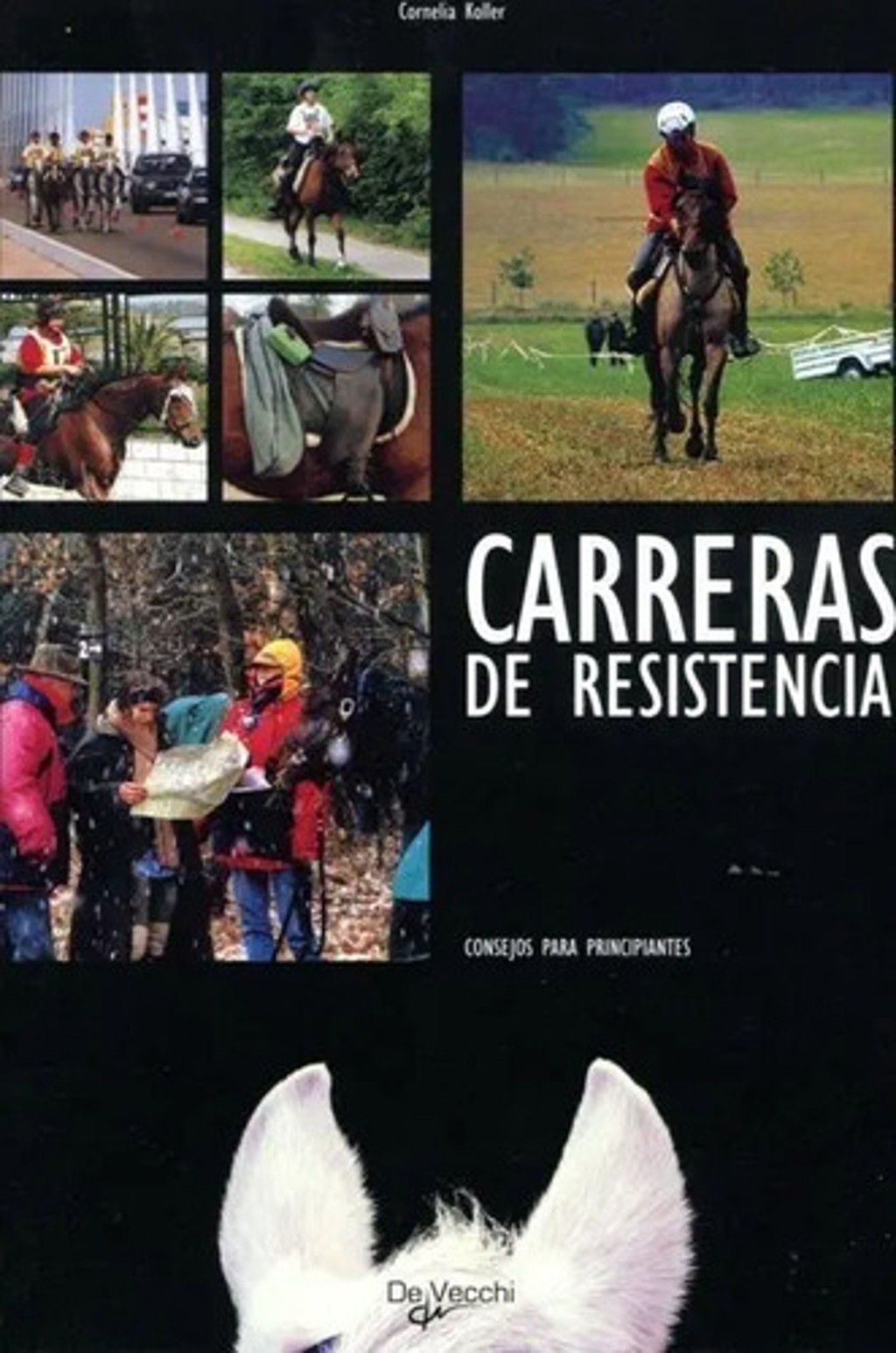 Carreras De Resistencia. Caballos Caballo Equitación