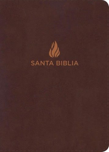 Nvi Biblia Compacta Letra Grande Marrón, Piel Fabricada 