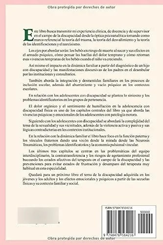 Libro Discapacidad: Reflexiones Psicoanaliticas E Intervenc