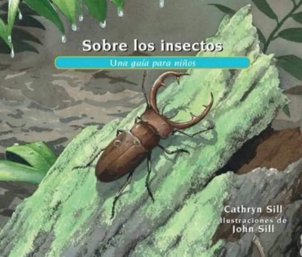 Sobre Los Insectos  Guía Para Niños Aprendizaje Naturaleza