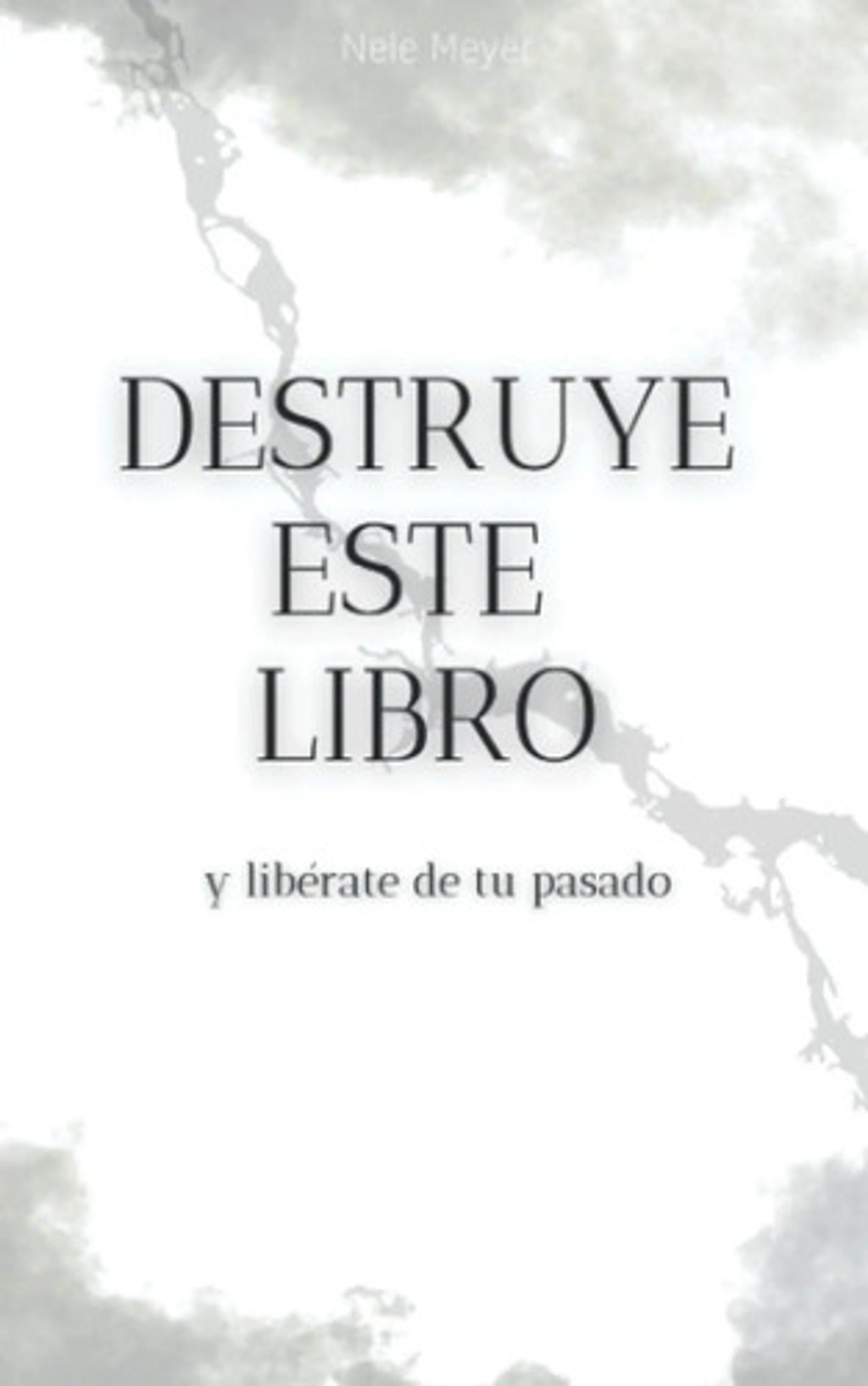 Destruye Este Libro Y Libérate De Tu Pasado