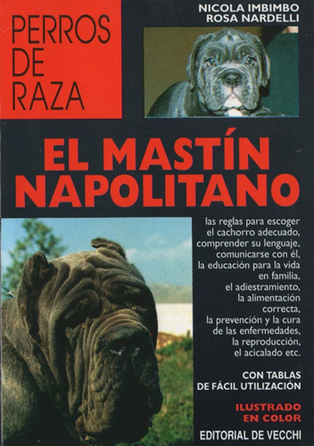 El Mastín Napolitano Imbimbo Nicola Nardelli Rosa