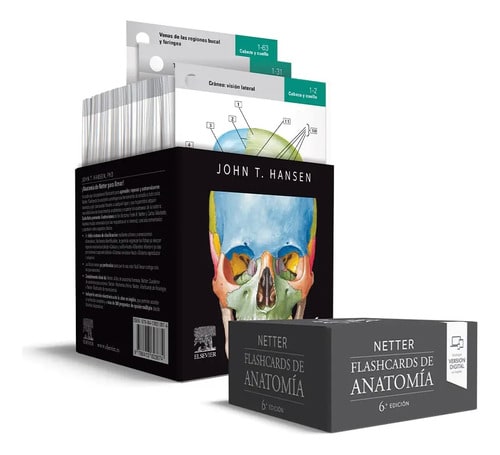 Netter Flashcards De Anatomía John T. Hansen Phd
