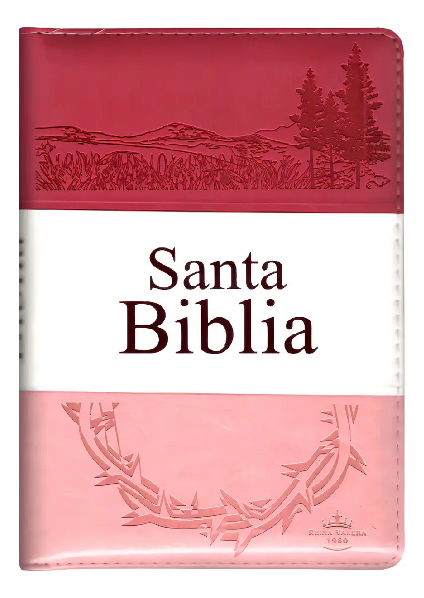 Santa Biblia Rv1960 Corona Letra Grande Cierre Indice 3tonos