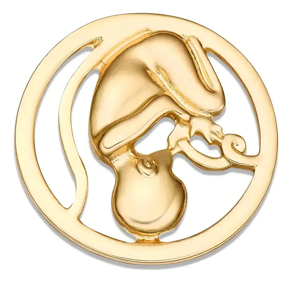 Hanreshe Broche De Obstetricia Para Bebé Color Dorado Oscuro