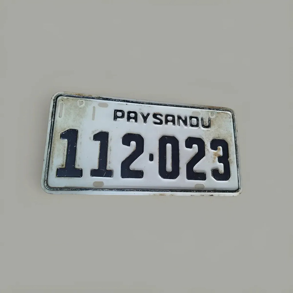 Matrícula Paysandú Vintage 112023 Colección 30x15cm