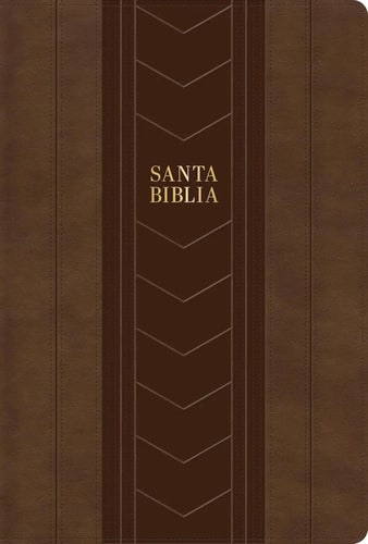 Biblia Rvr 1960 Edición Especial Letra Grande Simil Piel