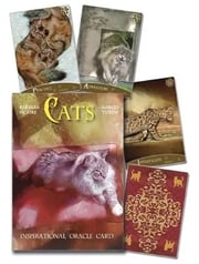 Portada de Cats Inspirational Oracle Cards Cartas - Barbara Moore