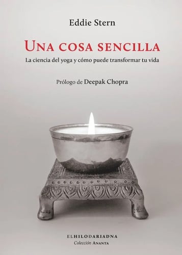 Portada de Libro Una Cosa Sencilla - Stern, Eddie