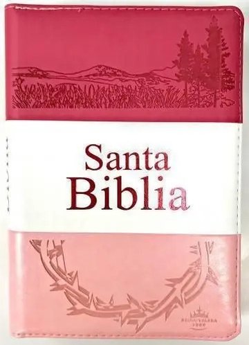 Portada de Libro Biblia Rvr1960 Tamaño Manual, Letra Grande Con Cierre