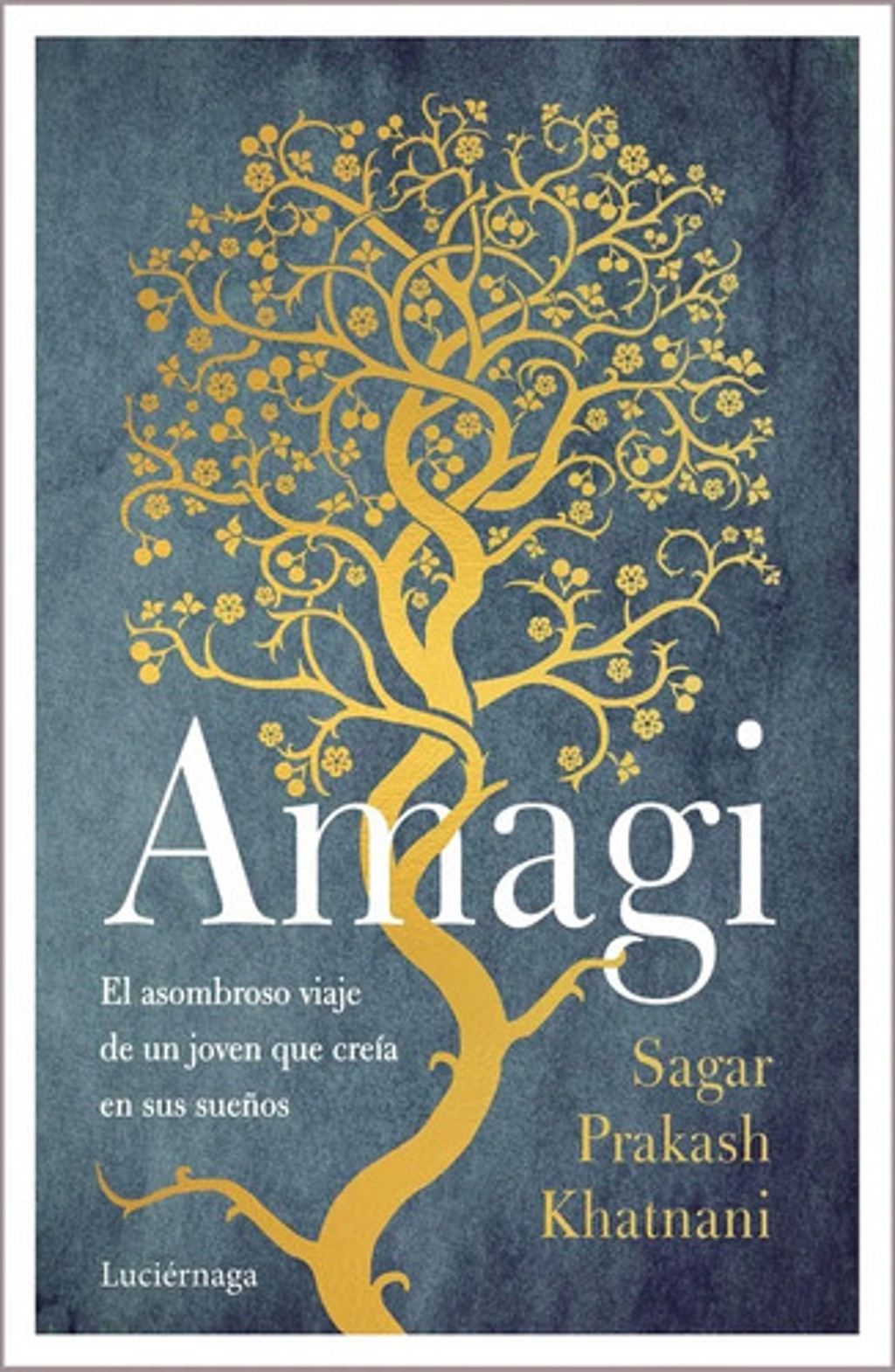 Portada de Libro - Amagi - Prakash Khatnani, Sagar