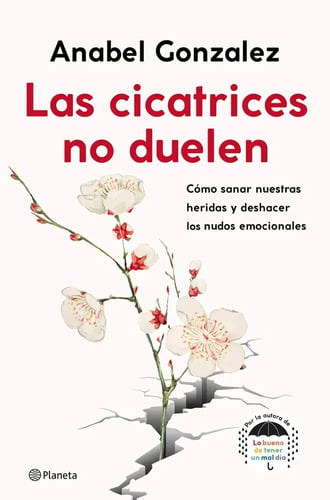 Libro - Las Cicatrices No Duelen - Anabel Gonzalez (español)