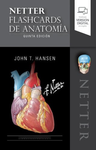 Fichas De Autoevaluación Netter Flashcards De Anatomía