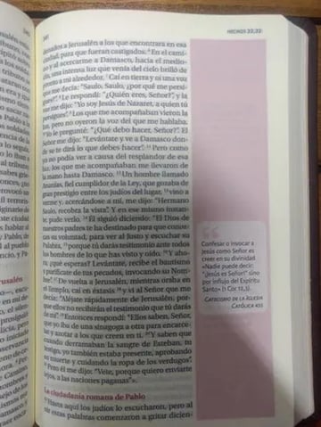 Portada de Nuevo Testamento Del Pueblo De Dios Simil Piel Bitono, De Verbo Divino - Guadalupe. Editorial Verbo Divino En Español