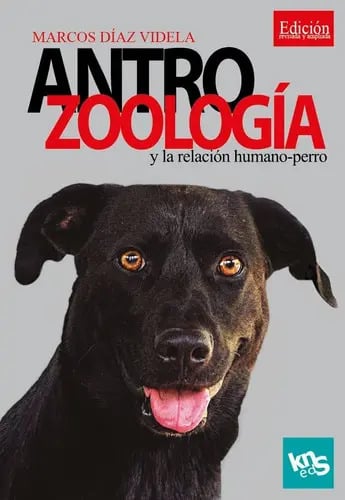Antrozoología La Relación Humano Perro Veterinaria Etologia