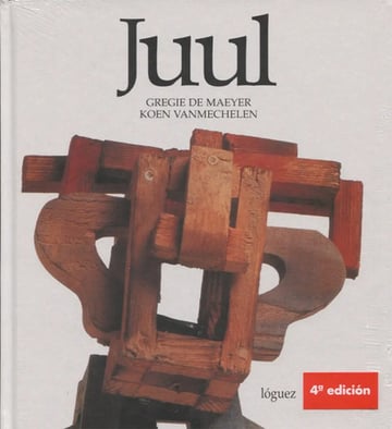 Portada de Infantil 10 A 12 Años Juul Gregie De Maeyer