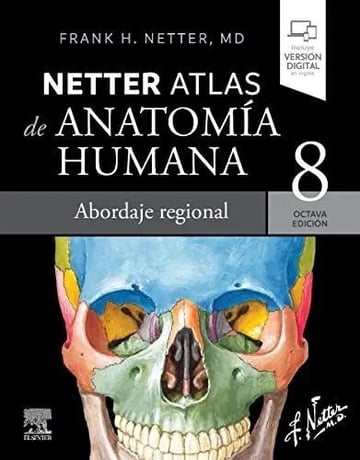 Netter. Atlas De Anatomía Humana. Abordaje Regional 2023