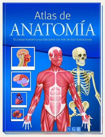 Atlas Anatomía Cuerpo Humano  Funciones  600 Ilustraciones
