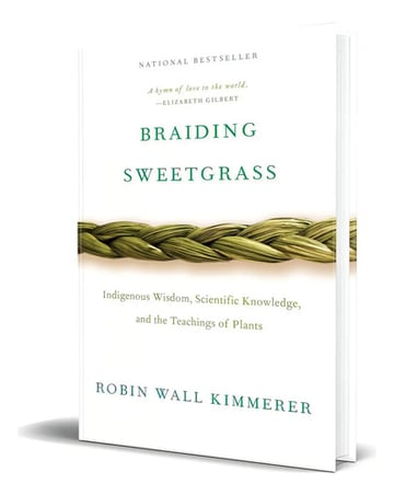 Libro Braiding Sweetgrass, De Robin Wall Kimmerer. Editorial Milkweed Editions, Tapa Blanda, En Inglés ( 2015)
