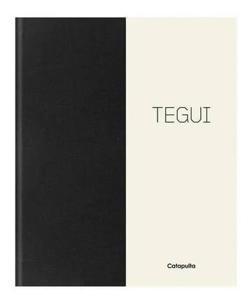 Tegui Con Apendice En Ingles - Martitegui - Catapulta Libro