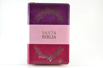 Biblia Reina Valera 1960 Mediana Letra Grande Imitación Piel