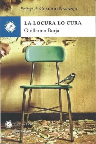 Portada de Locura Lo Cura - Guillermo Borja