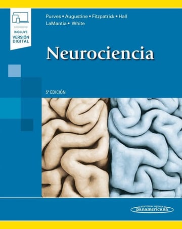 Portada de Libro Neurociencia 5° Ed Purves Augustine Fitzpatrick Hall