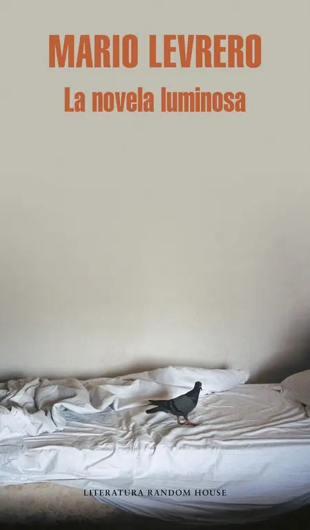 Portada de Novela Luminosa,la Lm - Levrero,mario