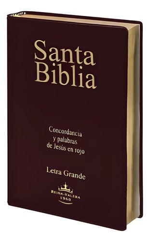 Biblia Rvr 1960 Letra Grande Con Canto Dorado Y Referencias