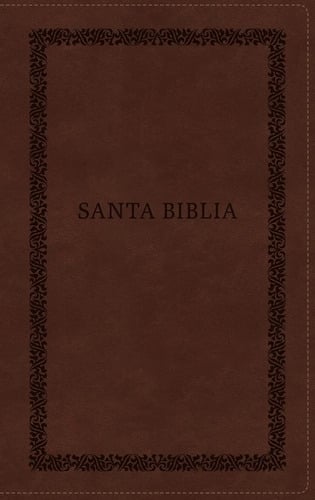 Biblia Rvr60: Letra Grande, Imágenes De Tierra Santa, Café