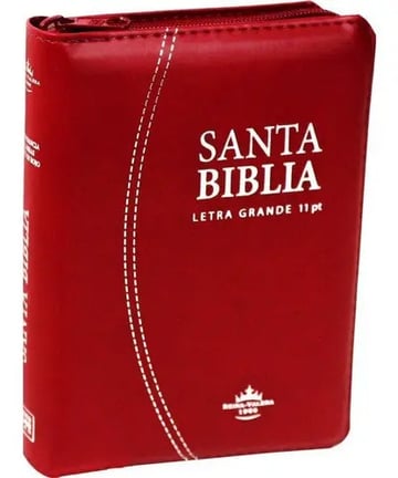 Biblia Reina Valera 1960 Letra 11 Puntos
