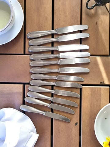 Juego 12 Cuchillos Acero Inoxidable Kema Solingen Alemania Plateado