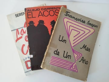 Lote Novelas Antiguas Sagan Carpentier Serena Gray Usadas Uy
