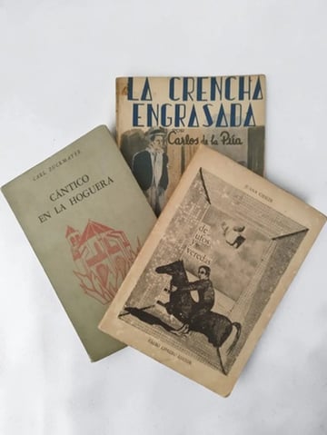 Lote 3 Libros Antiguos Literatura Rioplatense