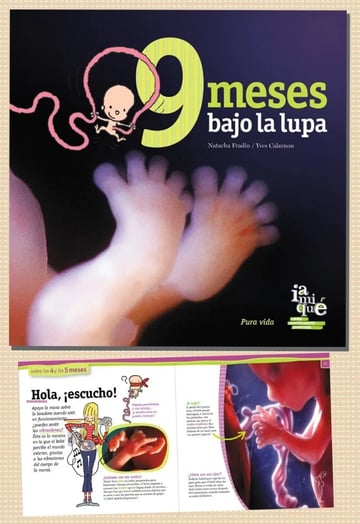 9 Meses Bajo La Lupa