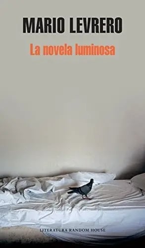 Libro - La Novela Luminosa - Levrero, Mario
