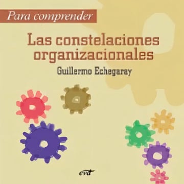 Para Comprender las Constelaciones Organizacionales