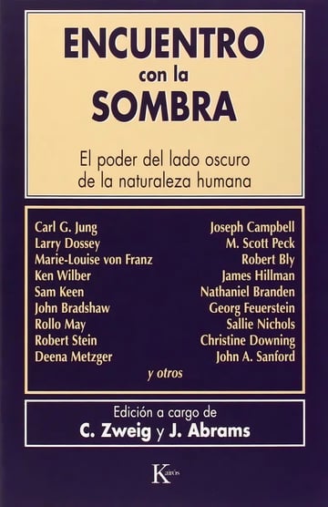 Libro Encuentro con la Sombra