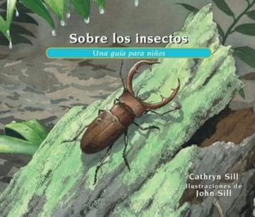Sobre Los Insectos  Guía Para Niños Aprendizaje Naturaleza