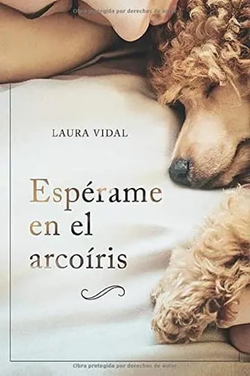Espérame En El Arcoíris Cómo Afrontar Duelo Pérdida Mascota