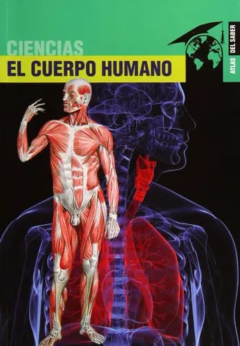 Libro The Human Body, De Various. Editorial Lectorum, Tapa Blanda