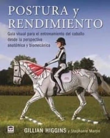 Postura Y Rendimiento Guía Visual Caballo Anatomica Equino