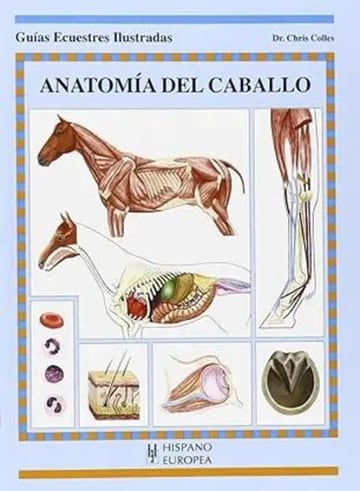 Anatomía Del Caballo Chris Colles