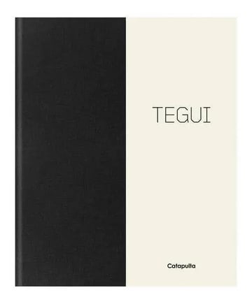 Tegui Con Apendice En Ingles - Martitegui - Catapulta Libro
