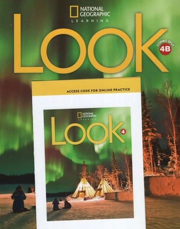 American Look 4b - Split Edition + Pac Online Workbook