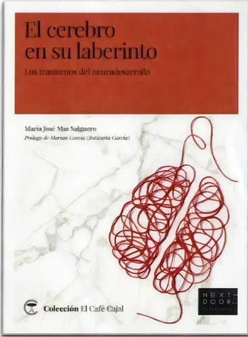 Cerebro En Su Laberinto. Los Trastornos Del Neurodesarrollo