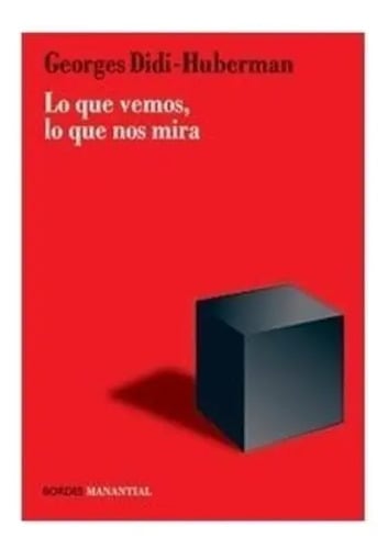 Didi-huberman Lo Que Vemos, Lo Que Nos Mira-  Arte Y Mirada